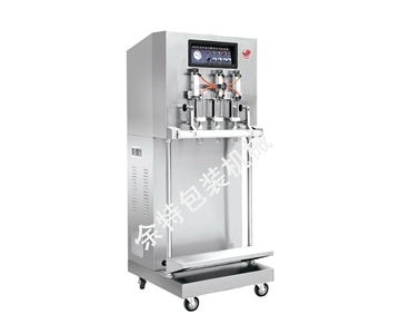 DZ-600F外抽式真空、充氣包裝機(jī)